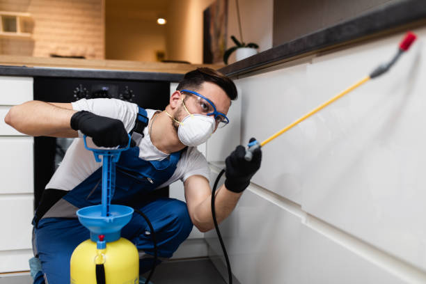 Best Pest Removal Services  in Dayton, NJ