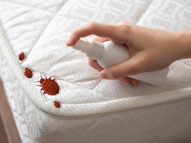 Best Residential Pest Control  in Dayton, NJ