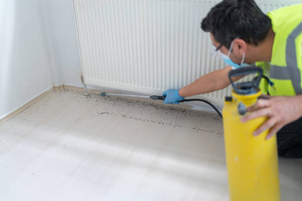 Best Pest Control Near Me in Dayton, NJ