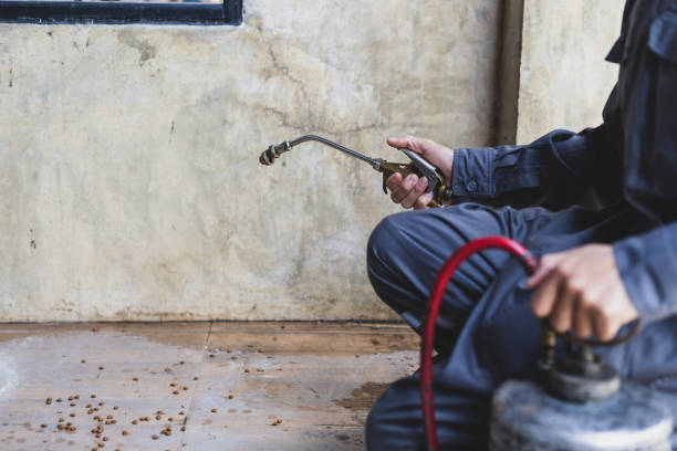 Best Affordable Pest Control Services  in Dayton, NJ